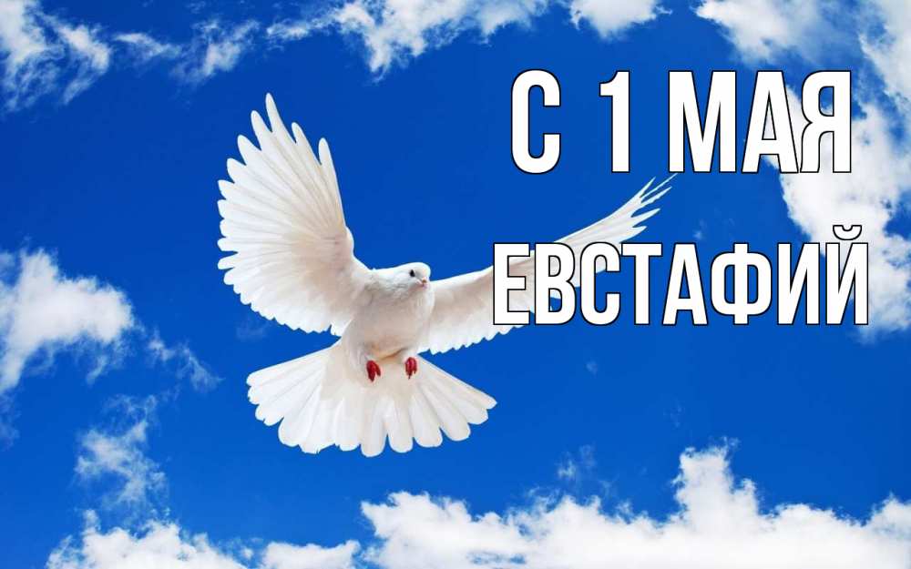 Открытка на каждый день с именем, Евстафий С 1 мая С 1 мая 1 Прикольная открытка с пожеланием онлайн скачать бесплатно 