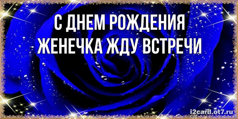 Открытка на каждый день с именем, Женечка-Жду-встречи С днем рождения голубые цветы в росе Прикольная открытка с пожеланием онлайн скачать бесплатно 