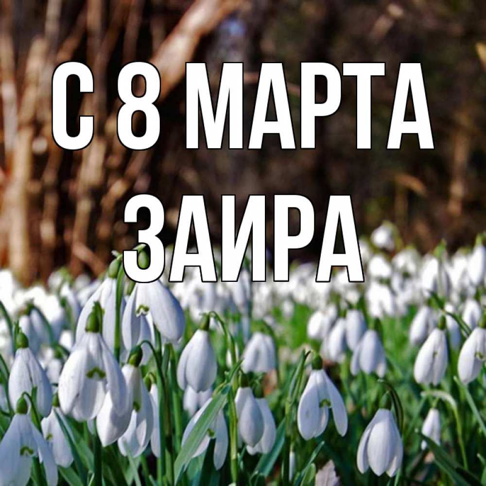 Открытка на каждый день с именем, Заира С 8 МАРТА с подснежниками 1 Прикольная открытка с пожеланием онлайн скачать бесплатно 