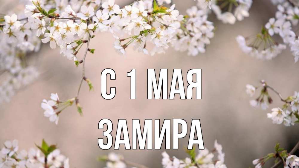 Открытка на каждый день с именем, Замира С 1 мая С 1 мая Прикольная открытка с пожеланием онлайн скачать бесплатно 