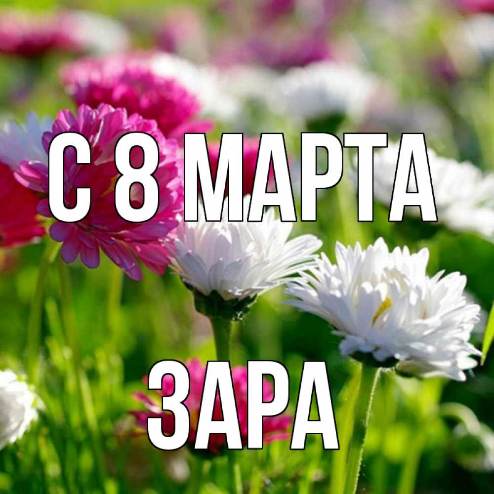 Открытка на каждый день с именем, Зара С 8 МАРТА международный женский день 1 Прикольная открытка с пожеланием онлайн скачать бесплатно 