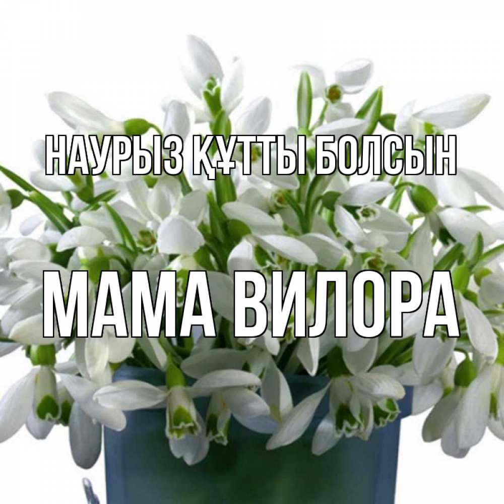 Открытка на каждый день с именем, Мама-Вилора Наурыз құтты болсын цветы к наурызу Прикольная открытка с пожеланием онлайн скачать бесплатно 
