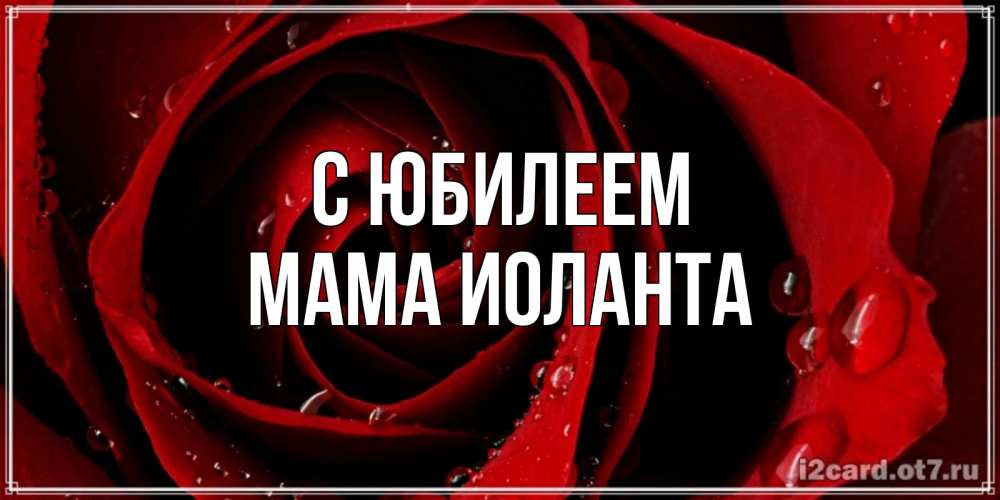 Открытка на каждый день с именем, Мама-Иоланта С юбилеем крупная бордовая роза Прикольная открытка с пожеланием онлайн скачать бесплатно 