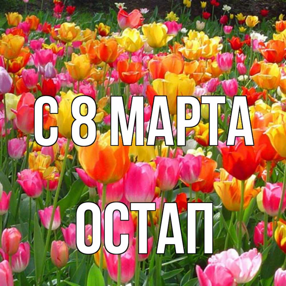 Открытка на каждый день с именем, Остап С 8 марта на международный женский день Прикольная открытка с пожеланием онлайн скачать бесплатно 