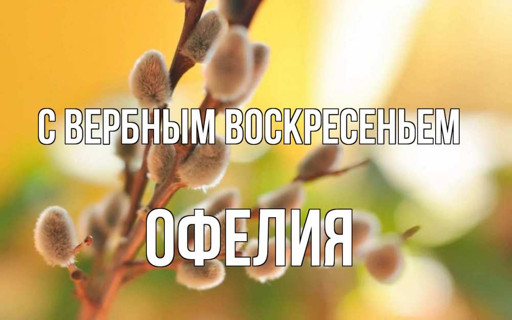 Открытка на каждый день с именем, Офелия С вербным воскресеньем верба Прикольная открытка с пожеланием онлайн скачать бесплатно 