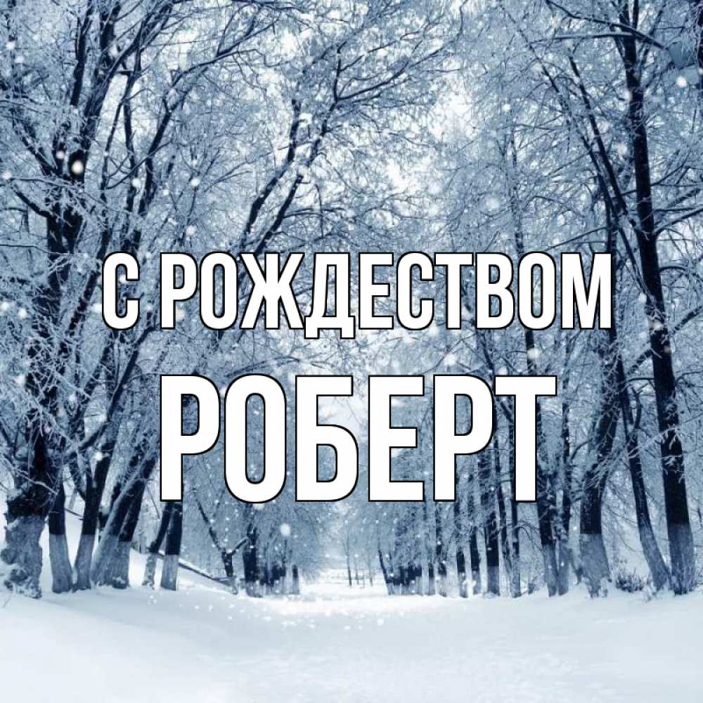 Открытка на каждый день с именем, Роберт С рождеством снег, лес, парк Прикольная открытка с пожеланием онлайн скачать бесплатно 