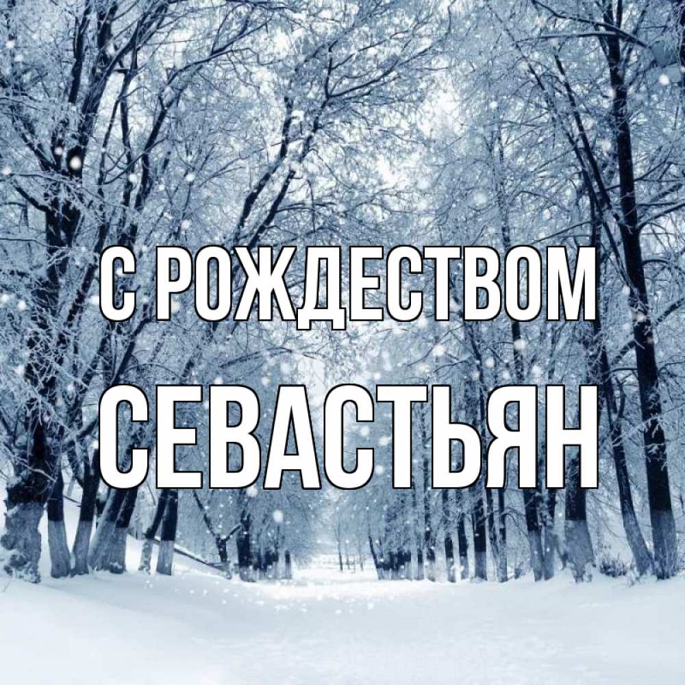 Открытка на каждый день с именем, Севастьян С рождеством снег, лес, парк Прикольная открытка с пожеланием онлайн скачать бесплатно 