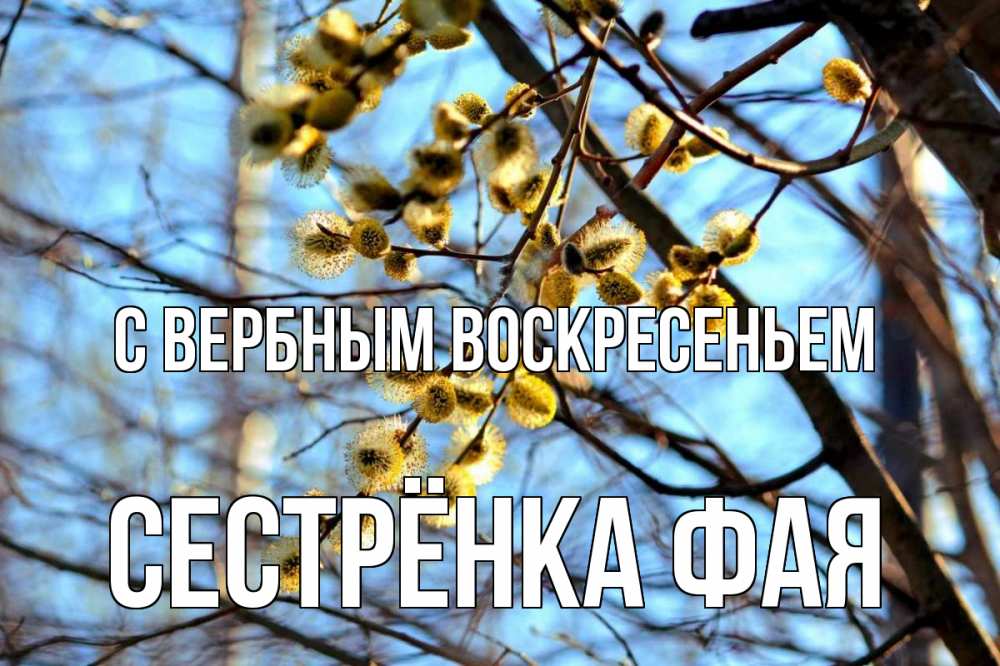 Открытка на каждый день с именем, Сестрёнка-Фая С вербным воскресеньем верба Прикольная открытка с пожеланием онлайн скачать бесплатно 