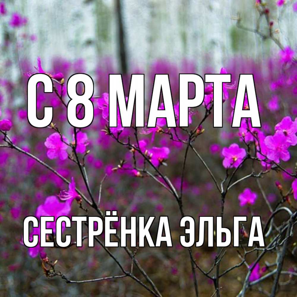 Открытка на каждый день с именем, Сестрёнка-Эльга С 8 МАРТА дикие цветы Прикольная открытка с пожеланием онлайн скачать бесплатно 