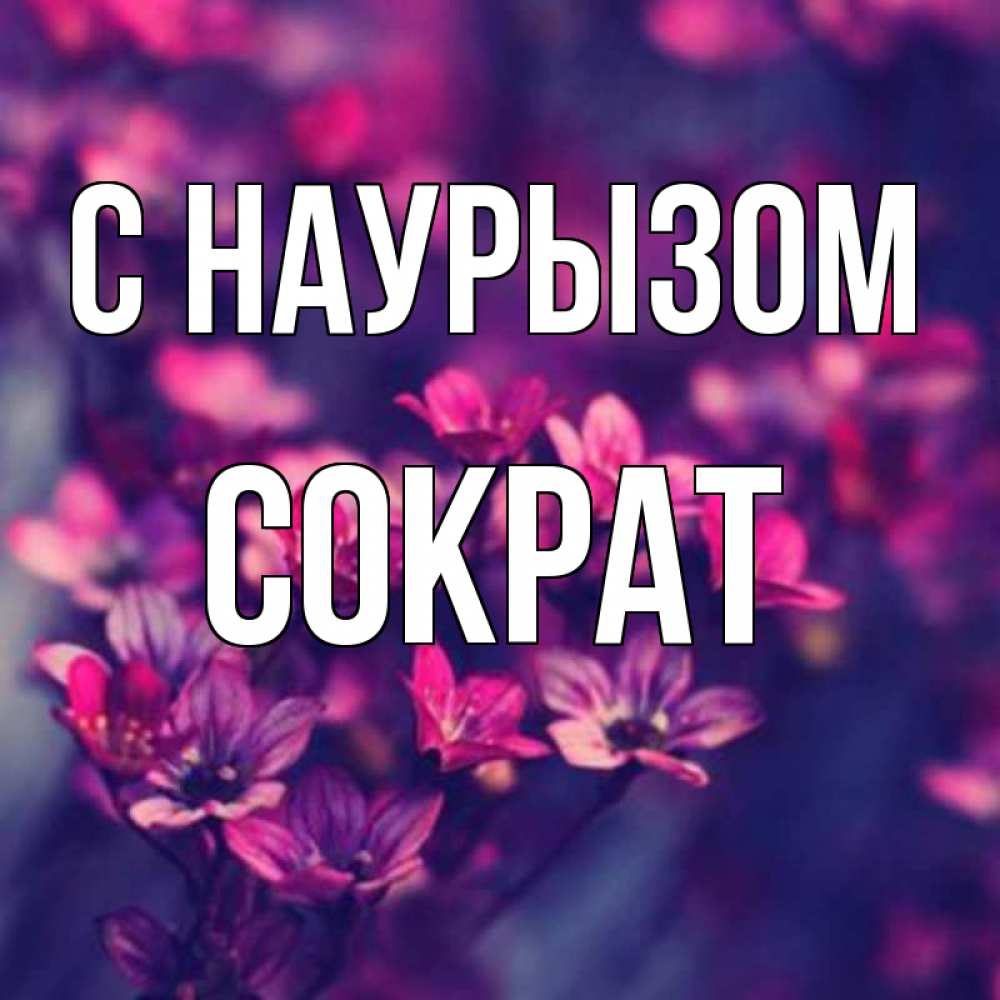 Открытка на каждый день с именем, Сократ С наурызом небольшие цветы 1 Прикольная открытка с пожеланием онлайн скачать бесплатно 