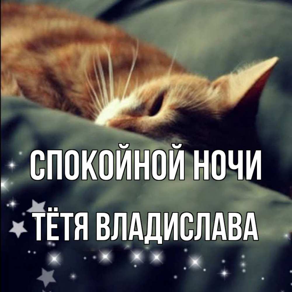 Открытка на каждый день с именем, Тётя-Владислава Спокойной ночи кроватка Прикольная открытка с пожеланием онлайн скачать бесплатно 