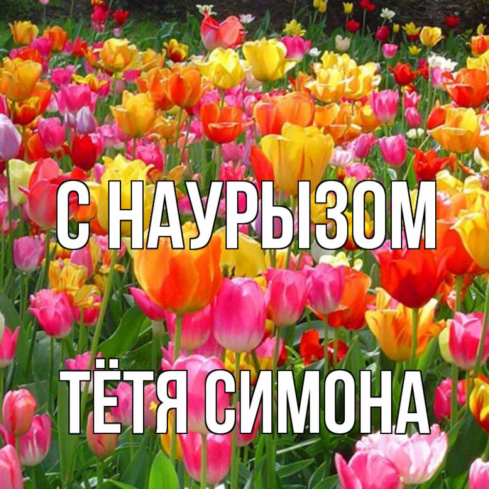 Открытка на каждый день с именем, Тётя-Симона С наурызом праздник весны наурыз 4 Прикольная открытка с пожеланием онлайн скачать бесплатно 