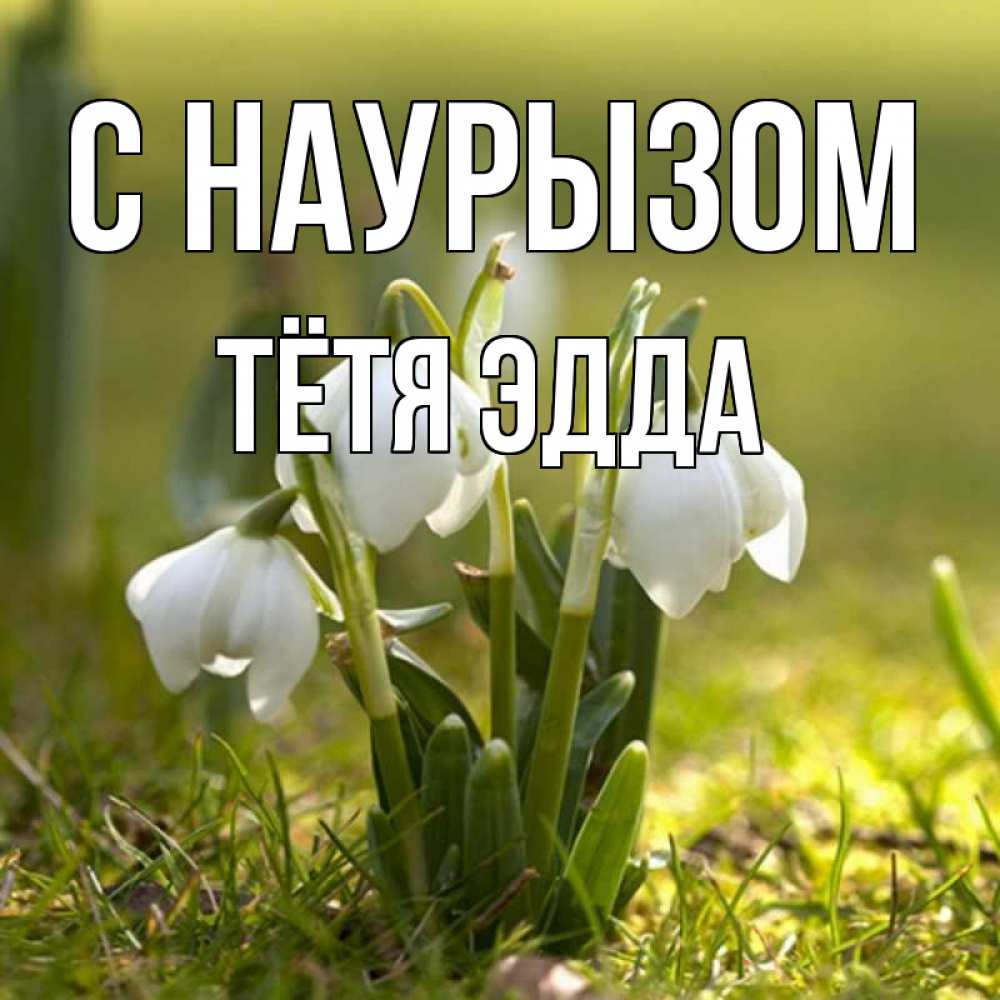 Открытка на каждый день с именем, Тётя-Эдда С наурызом ранние цветы 2 Прикольная открытка с пожеланием онлайн скачать бесплатно 