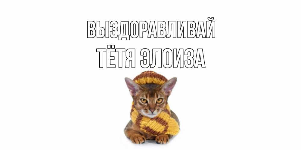 Открытка на каждый день с именем, Тётя-Элоиза Выздоравливай родные не болейте Прикольная открытка с пожеланием онлайн скачать бесплатно 