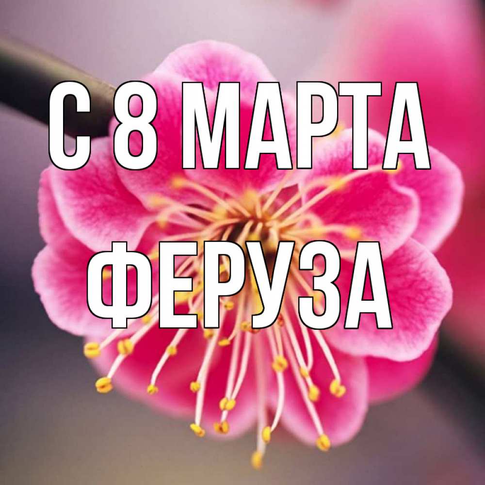 Открытка на каждый день с именем, Феруза С 8 МАРТА цветы Прикольная открытка с пожеланием онлайн скачать бесплатно 