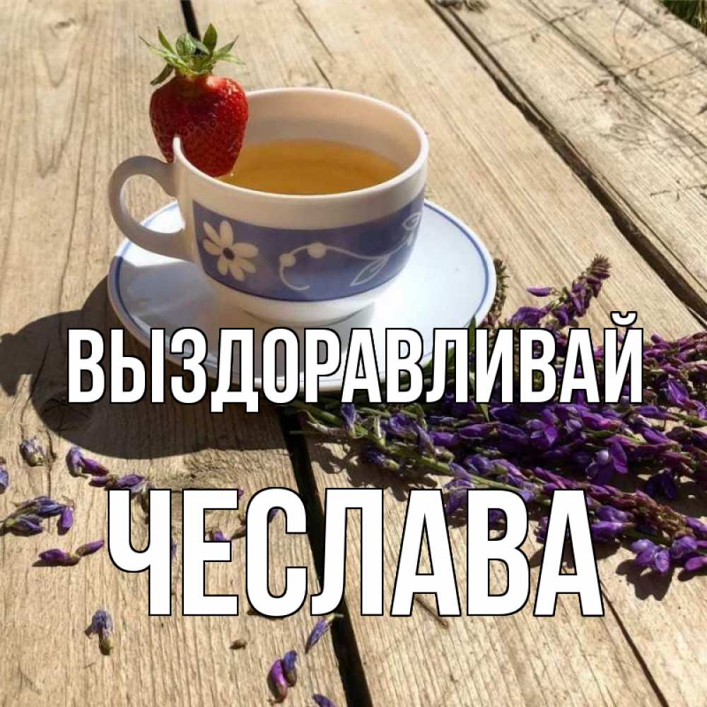 Открытка на каждый день с именем, Чеслава Выздоравливай чай Прикольная открытка с пожеланием онлайн скачать бесплатно 