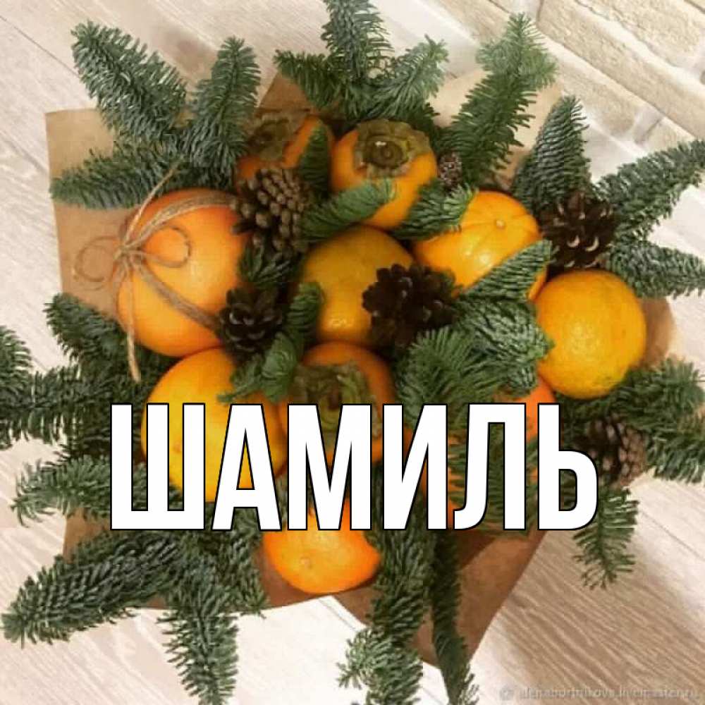 Открытка на каждый день с именем, Шамиль Главная апельсины и хурьма Прикольная открытка с пожеланием онлайн скачать бесплатно 