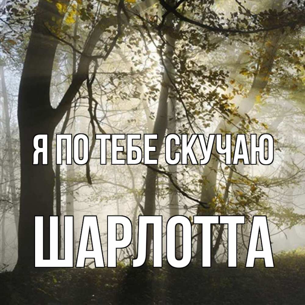 Открытка на каждый день с именем, Шарлотта Я по тебе скучаю грустно Прикольная открытка с пожеланием онлайн скачать бесплатно 