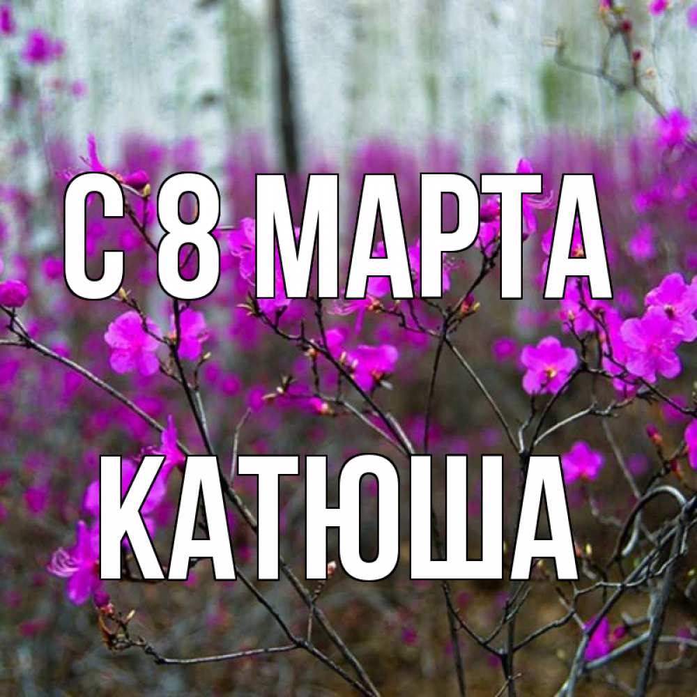 Открытка на каждый день с именем, катюша С 8 марта дикие цветы Прикольная открытка с пожеланием онлайн скачать бесплатно 