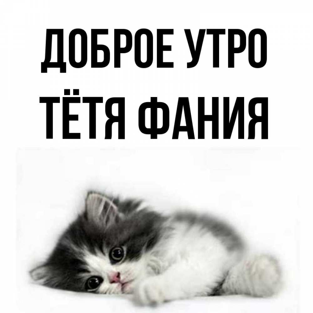 Открытка на каждый день с именем, Тётя-Фания Доброе утро кот лапки Прикольная открытка с пожеланием онлайн скачать бесплатно 