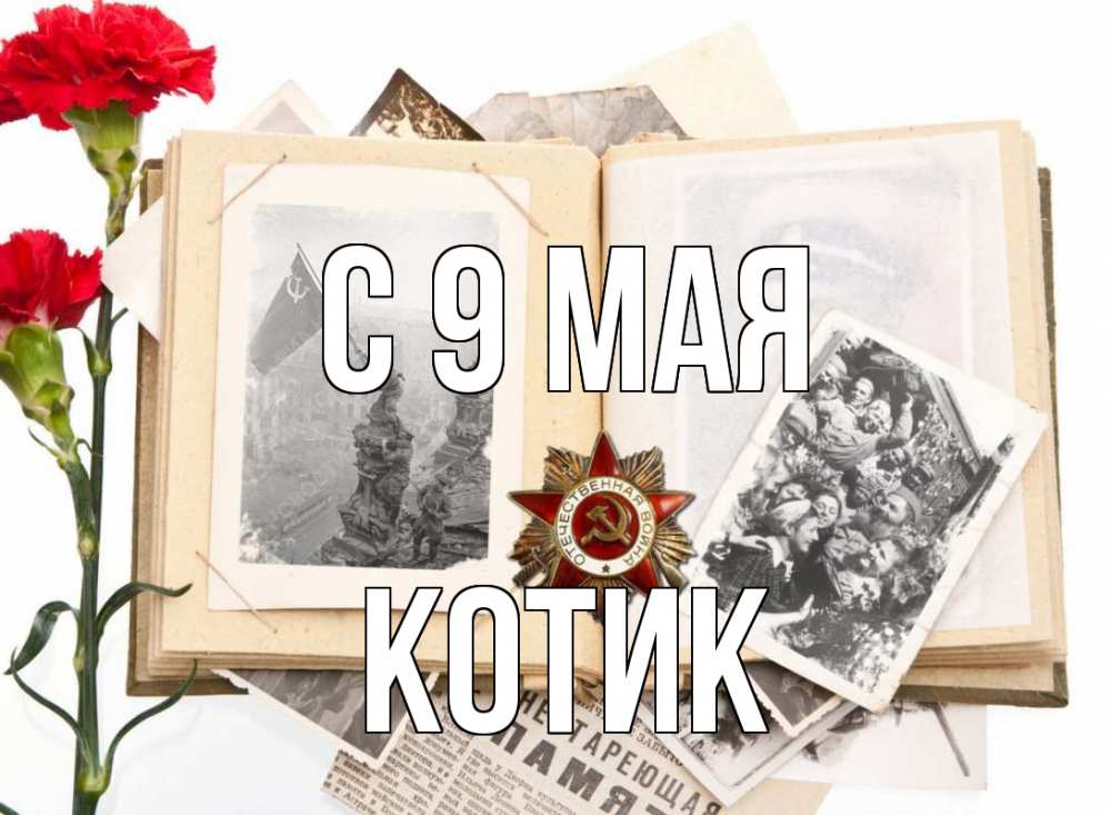 Картинка С 9 мая, котик