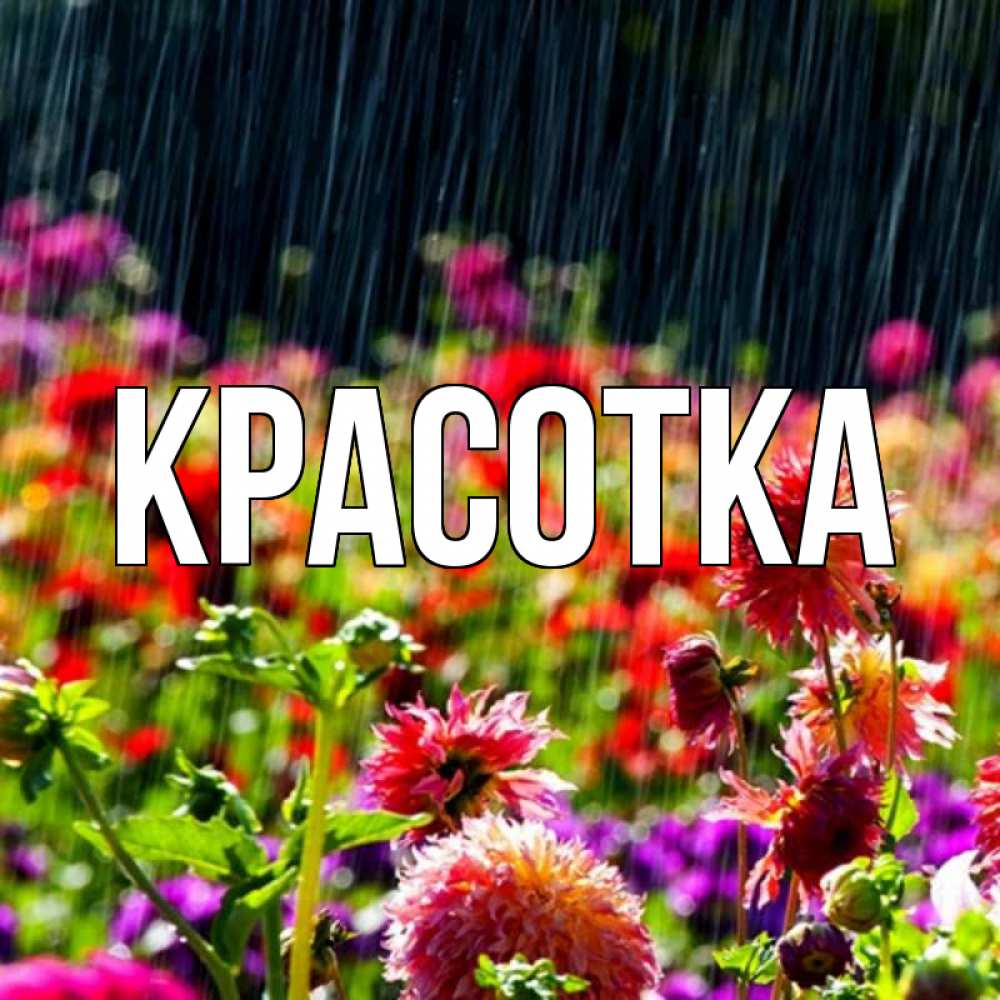 Открытка на каждый день с именем, красотка Главная цветы под дождиком к международному женскому дню Прикольная открытка с пожеланием онлайн скачать бесплатно 