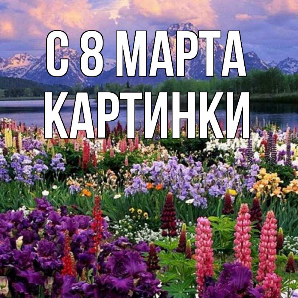 Открытка на каждый день с именем, Картинки С 8 МАРТА международный женский день Прикольная открытка с пожеланием онлайн скачать бесплатно 