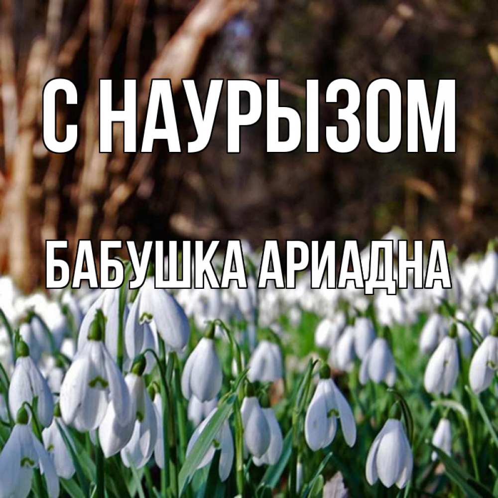 Открытка на каждый день с именем, Бабушка-Ариадна С наурызом с подснежниками 1 Прикольная открытка с пожеланием онлайн скачать бесплатно 