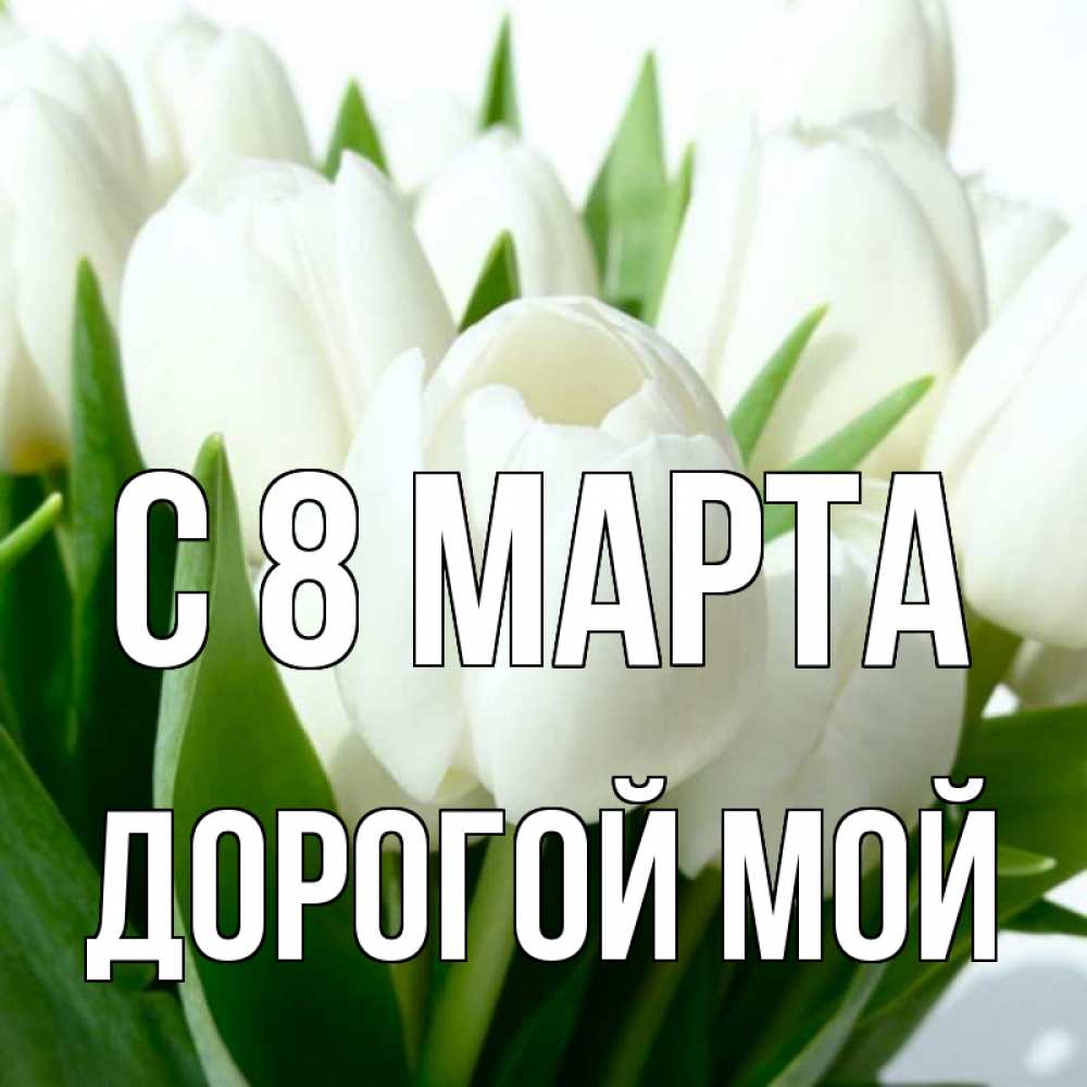 Открытка на каждый день с именем, Дорогой-мой С 8 МАРТА цветы Прикольная открытка с пожеланием онлайн скачать бесплатно 