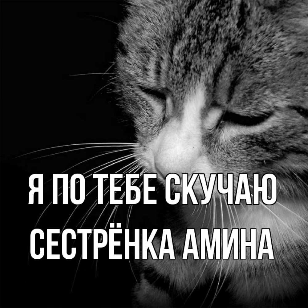 Открытка на каждый день с именем, Сестрёнка-Амина Я по тебе скучаю мне скучно Прикольная открытка с пожеланием онлайн скачать бесплатно 