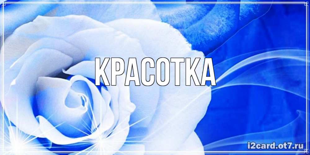 Открытка на каждый день с именем, красотка Главная белая роза на голубом фоне Прикольная открытка с пожеланием онлайн скачать бесплатно 