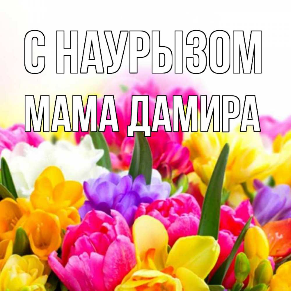 Открытка на каждый день с именем, Мама-Дамира С наурызом тюльпаны Прикольная открытка с пожеланием онлайн скачать бесплатно 