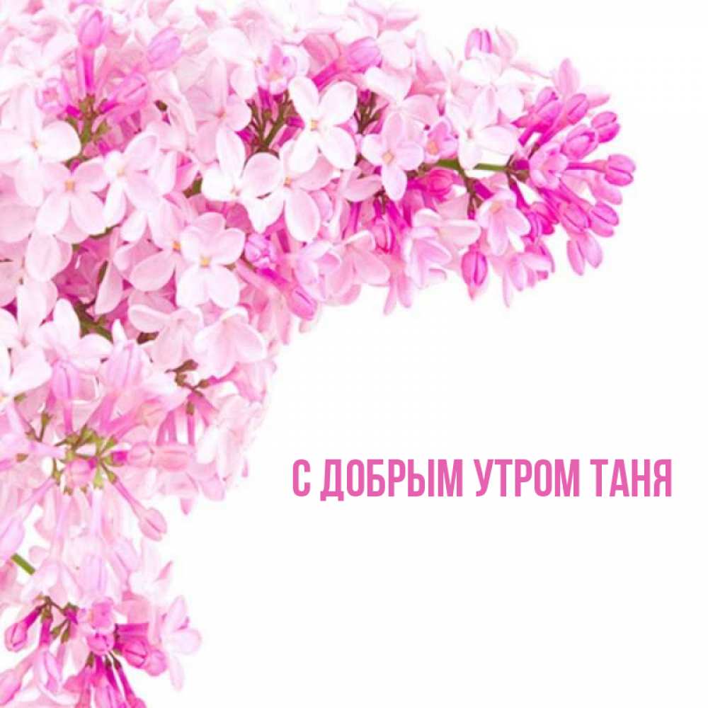 Открытка доброе утро танюша Открытка доброе утро танюша