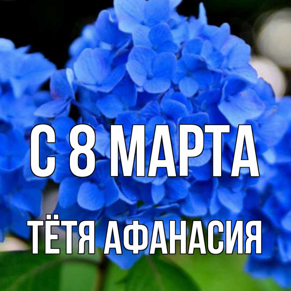 Открытка на каждый день с именем, Тётя-Афанасия С 8 МАРТА синие цветы Прикольная открытка с пожеланием онлайн скачать бесплатно 