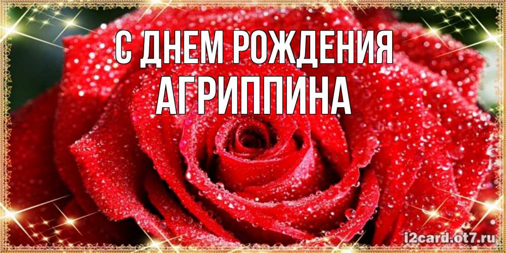 Открытка на каждый день с именем, Агриппина С днем рождения роса и роза. открытка с красивой розой Прикольная открытка с пожеланием онлайн скачать бесплатно 