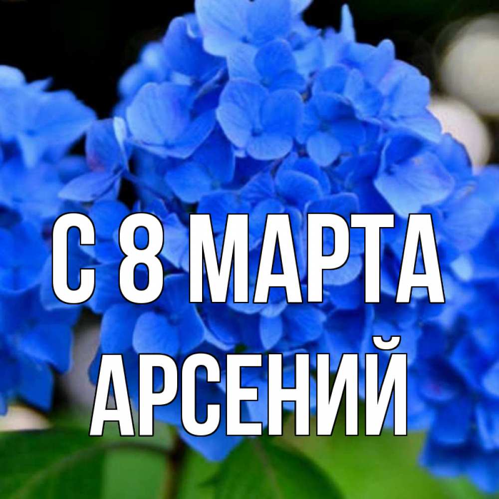Открытка на каждый день с именем, Арсений С 8 МАРТА синие цветы Прикольная открытка с пожеланием онлайн скачать бесплатно 