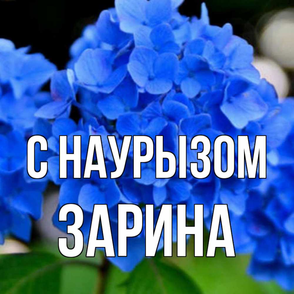 Открытка на каждый день с именем, Зарина С наурызом синие цветы Прикольная открытка с пожеланием онлайн скачать бесплатно 
