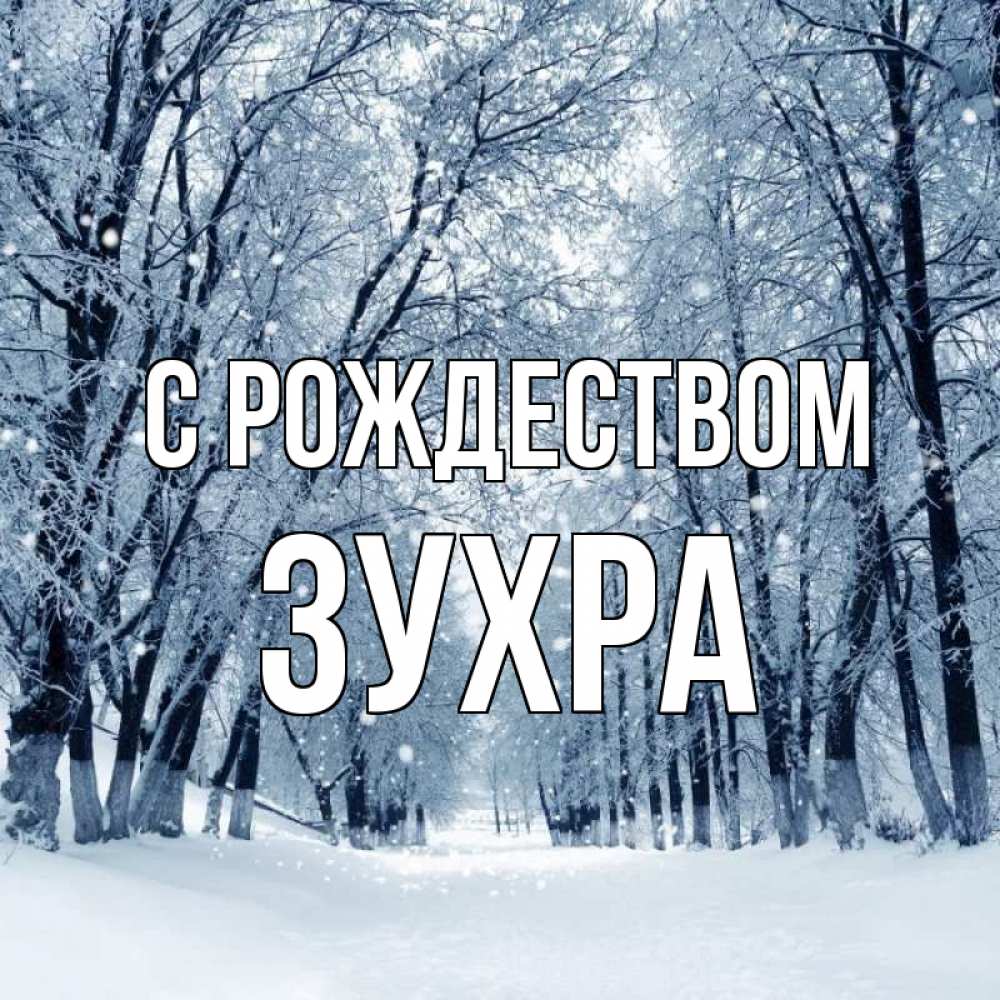 Открытка на каждый день с именем, Зухра С рождеством снег, лес, парк Прикольная открытка с пожеланием онлайн скачать бесплатно 