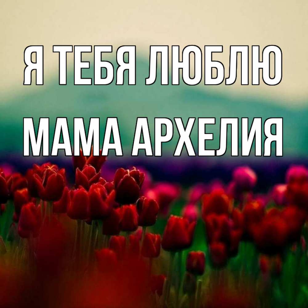 Открытка на каждый день с именем, Мама-Архелия Я тебя люблю тюльпаны 4 Прикольная открытка с пожеланием онлайн скачать бесплатно 