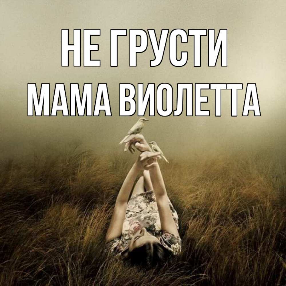 Открытка на каждый день с именем, Мама-Виолетта Не грусти поле и туман Прикольная открытка с пожеланием онлайн скачать бесплатно 