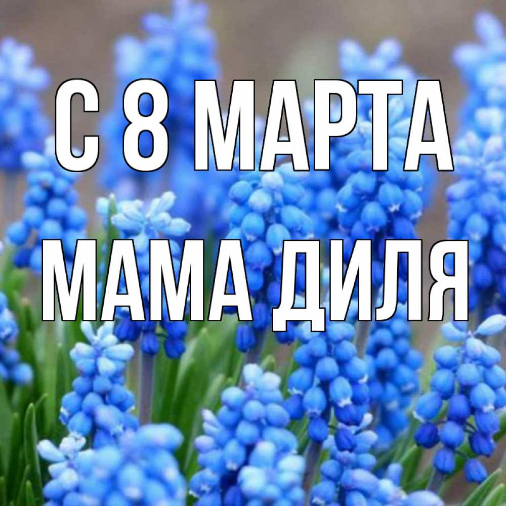 Открытка на каждый день с именем, Мама-Диля С 8 МАРТА Поздравительная открытка для женщин с цветами на праздничную дату Прикольная открытка с пожеланием онлайн скачать бесплатно 