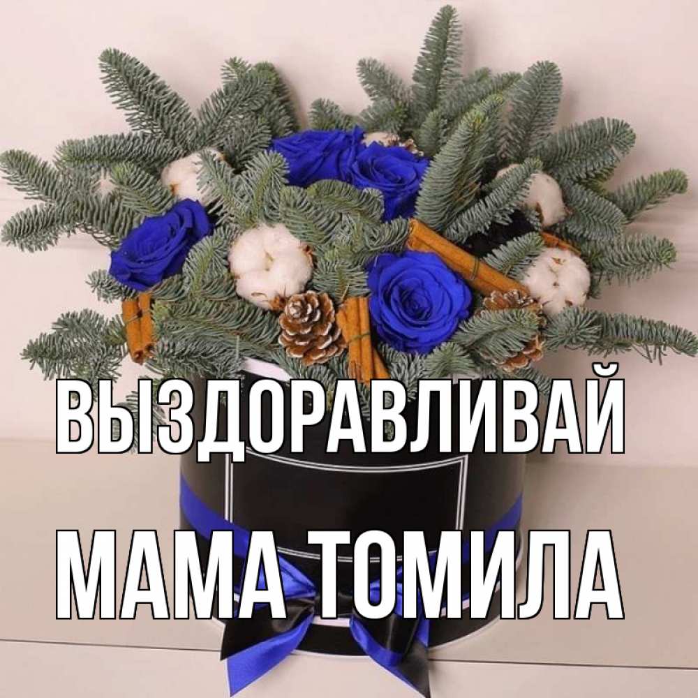 Открытка на каждый день с именем, Мама-Томила Выздоравливай короче кто то загрузил эти шишки Прикольная открытка с пожеланием онлайн скачать бесплатно 