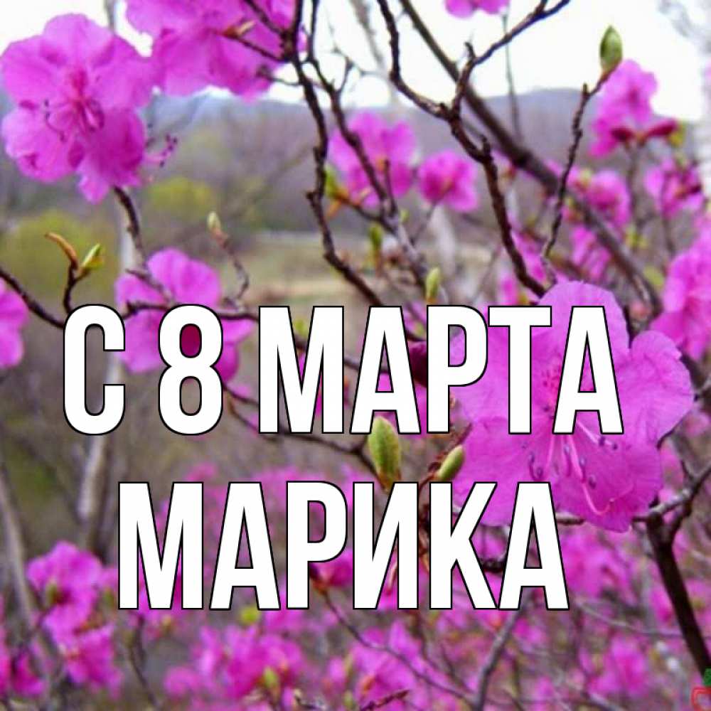 Открытка на каждый день с именем, Марика С 8 МАРТА международный женский день Прикольная открытка с пожеланием онлайн скачать бесплатно 