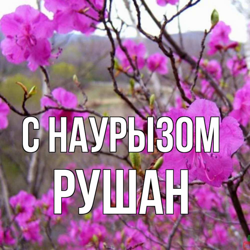 Открытка на каждый день с именем, Рушан С наурызом праздник весны наурыз Прикольная открытка с пожеланием онлайн скачать бесплатно 