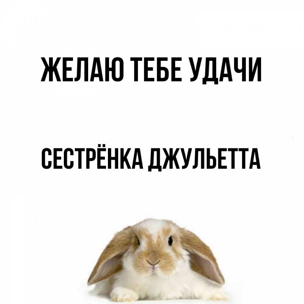 Открытка на каждый день с именем, Сестрёнка-Джульетта Желаю тебе удачи открытки с произвольным текстом который можно вставить в открытку и создать ее самостоятельно бесплатно онлайн Прикольная открытка с пожеланием онлайн скачать бесплатно 