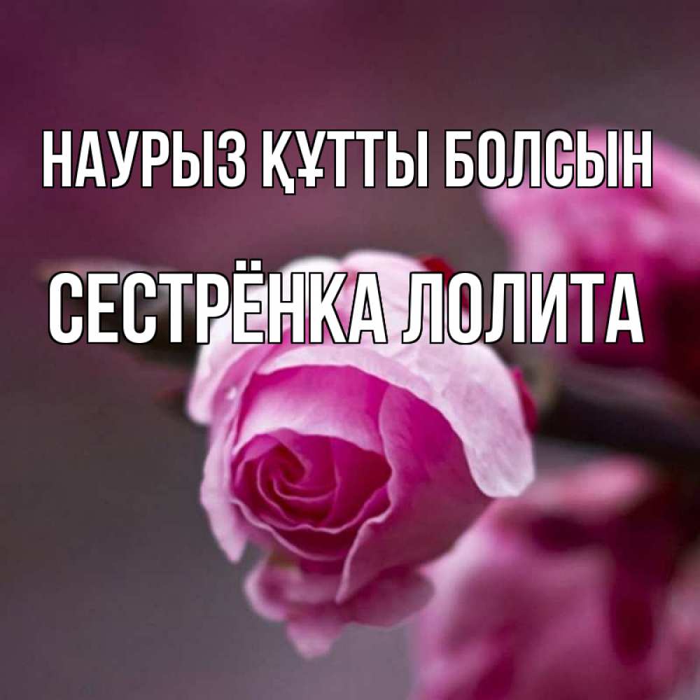 Открытка на каждый день с именем, Сестрёнка-Лолита Наурыз құтты болсын весна Прикольная открытка с пожеланием онлайн скачать бесплатно 