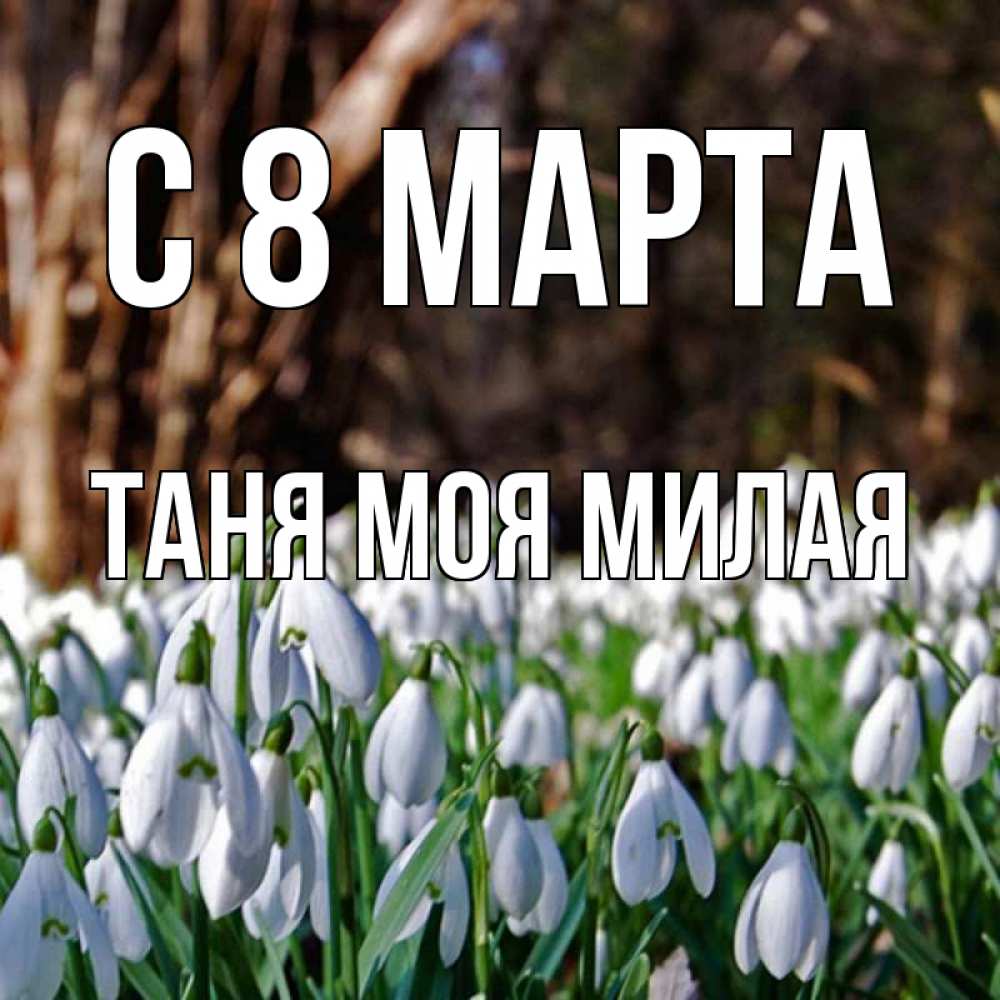 Открытка на каждый день с именем, -Таня-моя-милая С 8 МАРТА с подснежниками 1 Прикольная открытка с пожеланием онлайн скачать бесплатно 