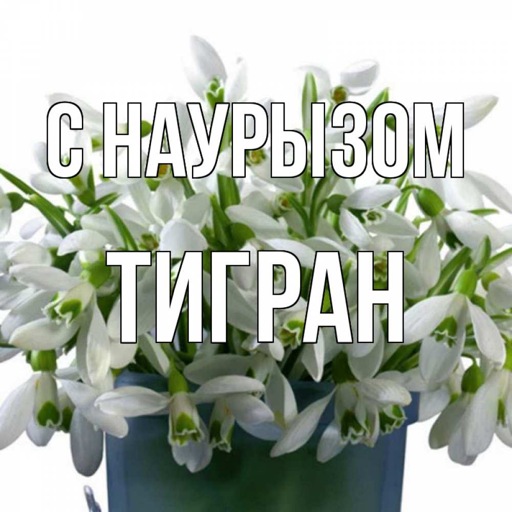 Открытка на каждый день с именем, Тигран С наурызом цветы к наурызу новый год в Казахстане Прикольная открытка с пожеланием онлайн скачать бесплатно 