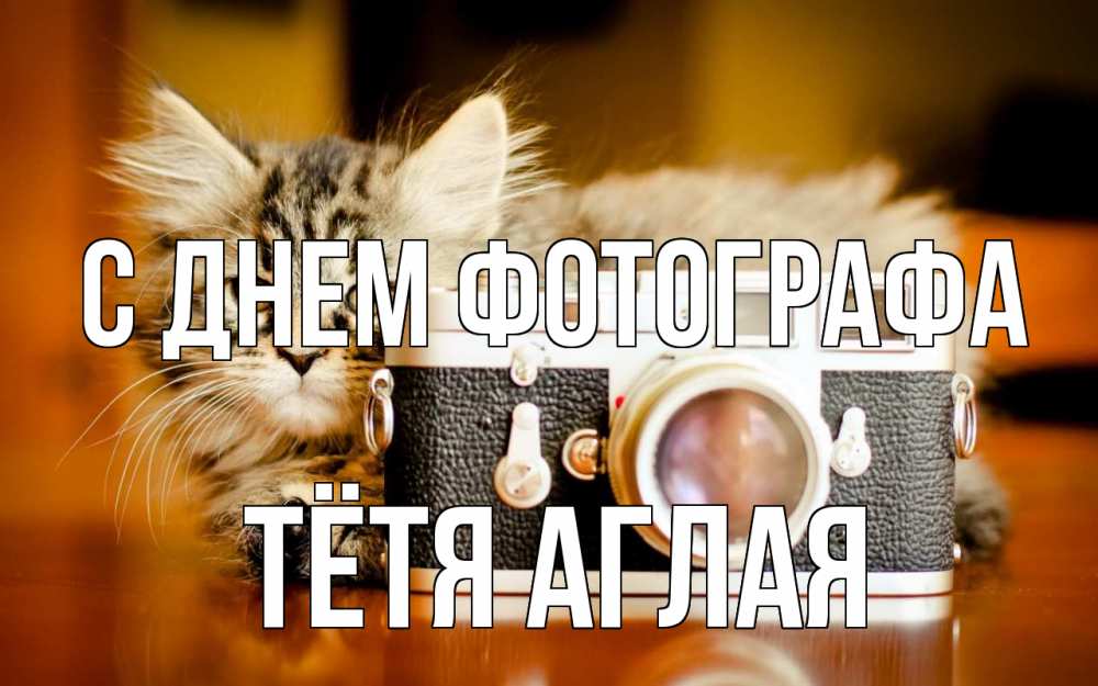 Открытка на каждый день с именем, Тётя-Аглая С днем фотографа с днем фотографа Прикольная открытка с пожеланием онлайн скачать бесплатно 