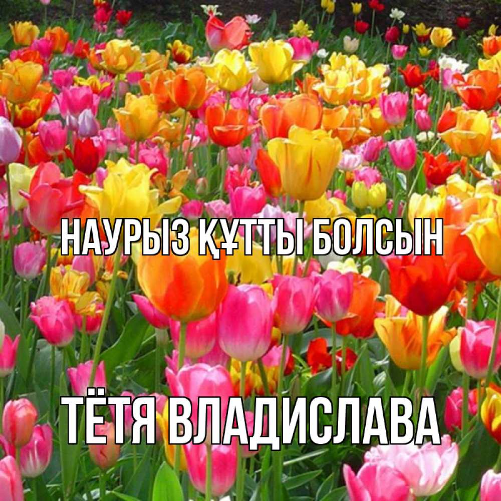 Открытка на каждый день с именем, Тётя-Владислава Наурыз құтты болсын на наурыз  ура ура Прикольная открытка с пожеланием онлайн скачать бесплатно 